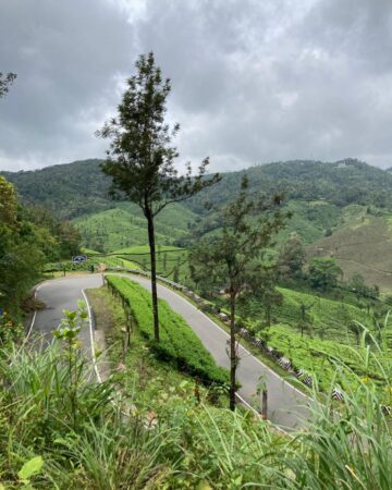 Munnar